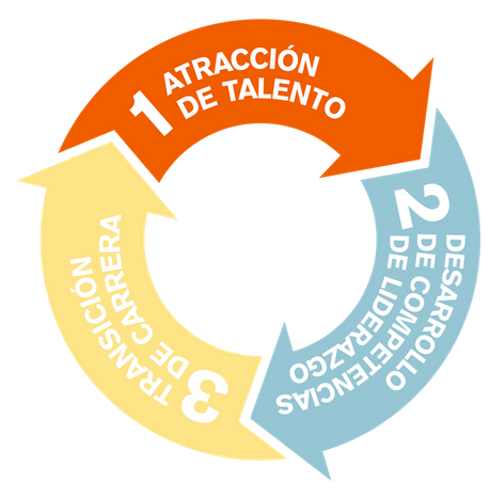 Gestión del talento